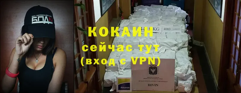 Cocaine Эквадор  Лукоянов 